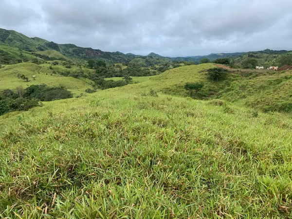 Venta de Finca en Las Minas de Ocú, Herrera, 98 hectáreas