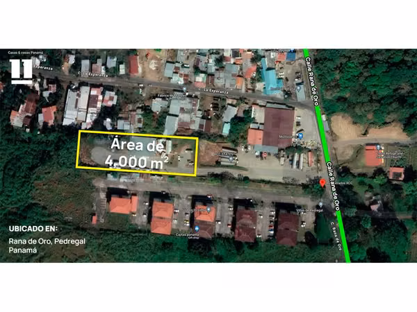 Se alquila Galera Abierta en Rana de Oro Pedregal