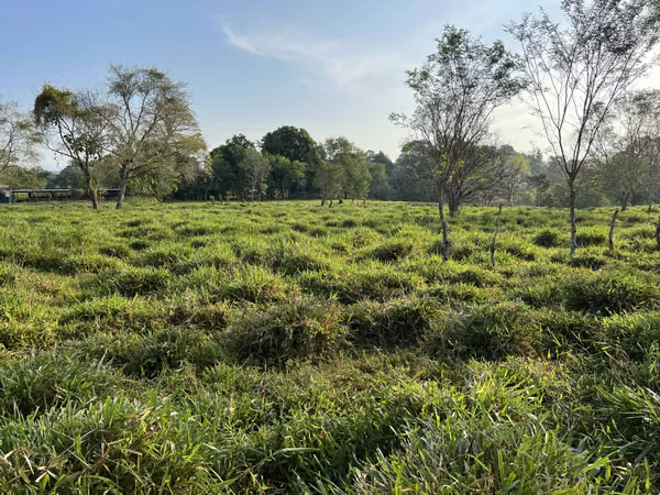 Finca en Chiriqui, El Santo, Bugaba 28 hectáreas para Lecheria