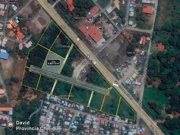 Se vende terreno en David Commercial Park, 3,823.72m2