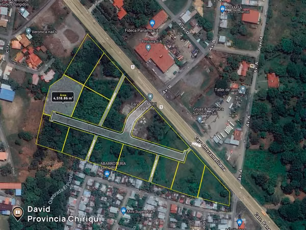 Se vende terreno en David Commercial Park, 4,518.86m2