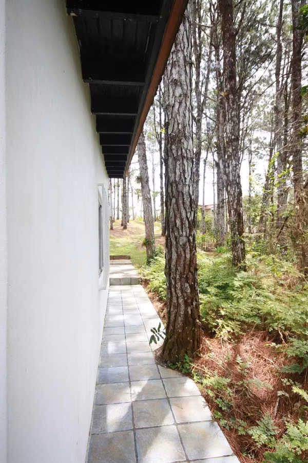 House sale in Cerro Azul