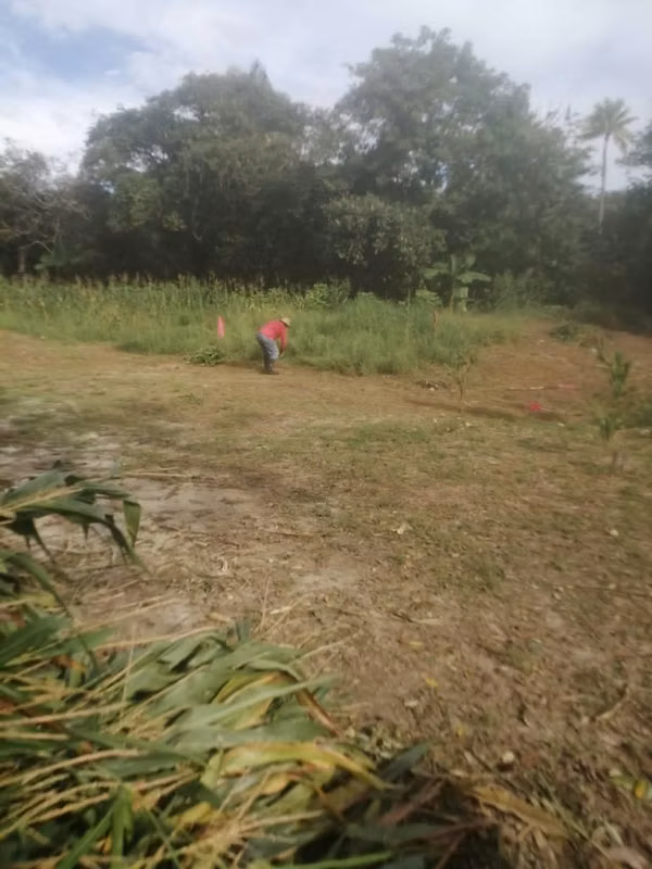 GANGA BEAUTIFUL LANDS IN JUAN DIAZ ANTÓN