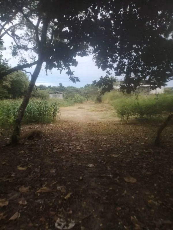 GANGA BEAUTIFUL LANDS IN JUAN DIAZ ANTÓN