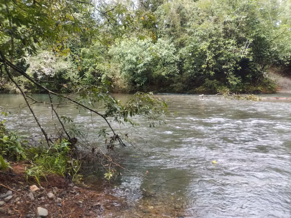 Land sale in Torio - Veraguas