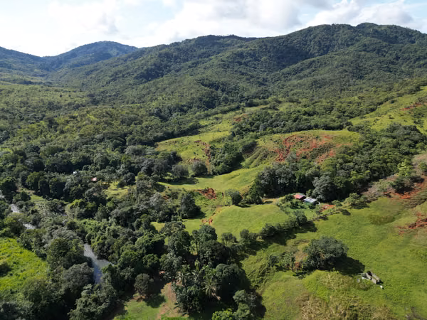 Land sale in Torio - Veraguas