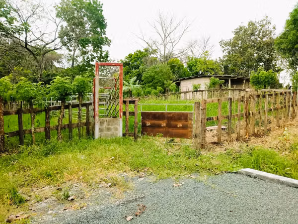 FOR SALE 50 HECTARES FARM -CHEPO