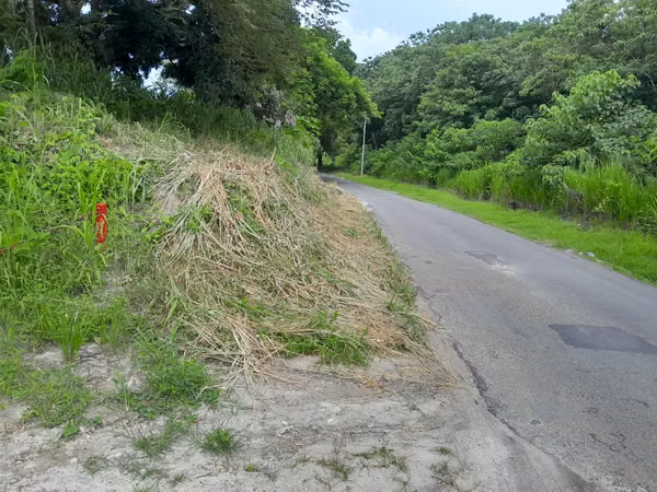 Se vende terreno en San Carlos.