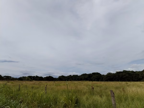 SE VENDE FINCA EN CHIRIQUI, SAN LORENZO,  VIA INTERAMERICANA