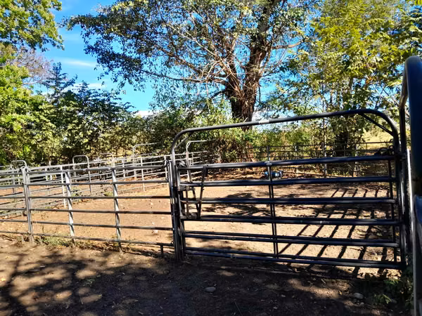 SE VENDE FINCA EN CHIRIQUI, SAN LORENZO,  VIA INTERAMERICANA