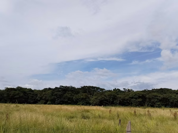 SE VENDE FINCA EN CHIRIQUI, SAN LORENZO,  VIA INTERAMERICANA