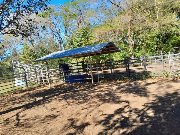SE VENDE FINCA EN CHIRIQUI, SAN LORENZO,  VIA INTERAMERICANA