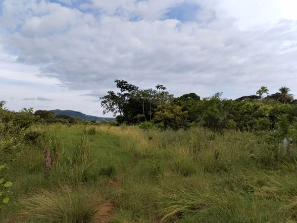 SE VENDE FINCA EN CHIRIQUI, SAN LORENZO,  VIA INTERAMERICANA