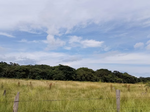 SE VENDE FINCA EN CHIRIQUI, SAN LORENZO,  VIA INTERAMERICANA