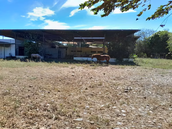 SE VENDE FINCA EN CHIRIQUI, SAN LORENZO,  VIA INTERAMERICANA