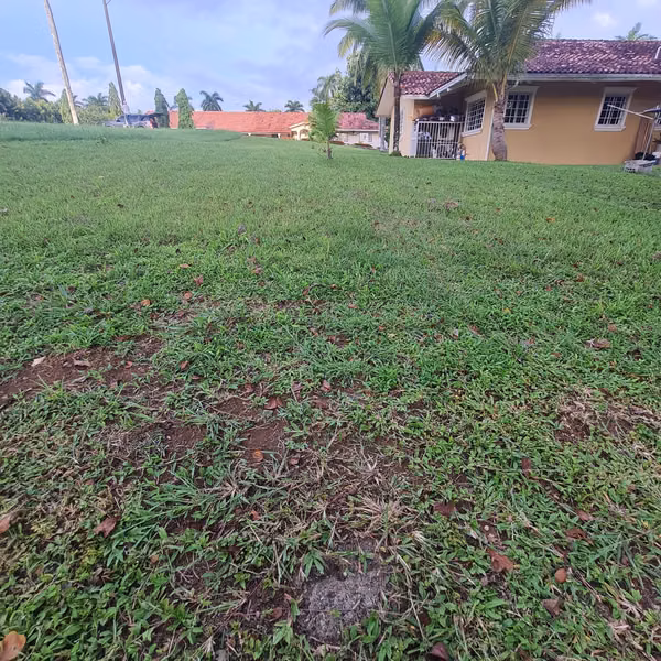 Beautiful flat lot 9,949 m2, its good for two individual houses.