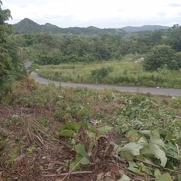Land sale in Nuevo Chorrillo, Arraiján
