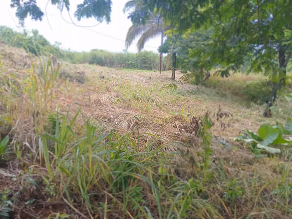Land sale in Nuevo Chorrillo, Arraiján