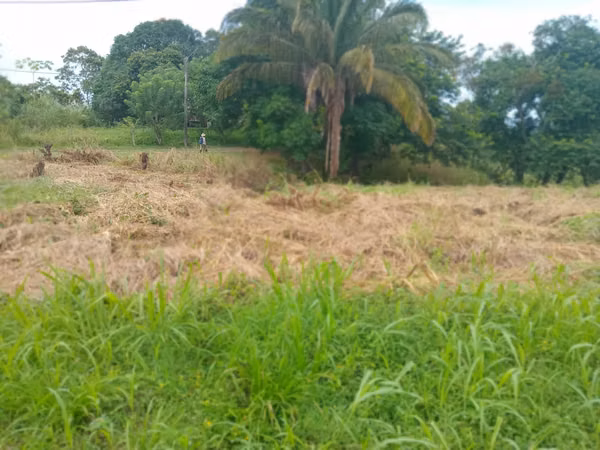 Land sale in Nuevo Chorrillo, Arraiján