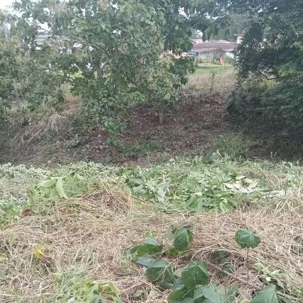 Land sale in Nuevo Chorrillo, Arraiján