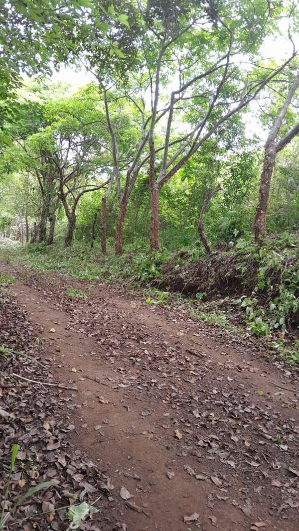 Land for Rent in Santiago Ponuga