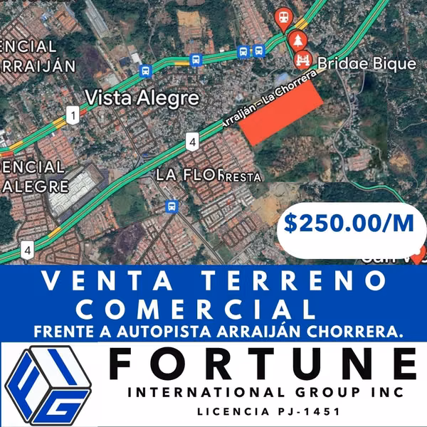 Land for sale in Bique, CHorrera.