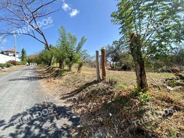 Venta de Terreno en Coronado