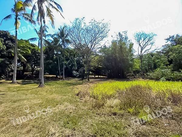 Venta de Terreno en Pacora