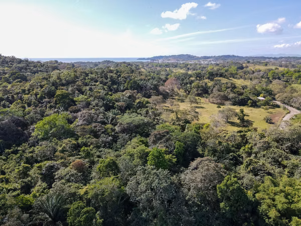 Land for sale located in Bique, Arraijan
