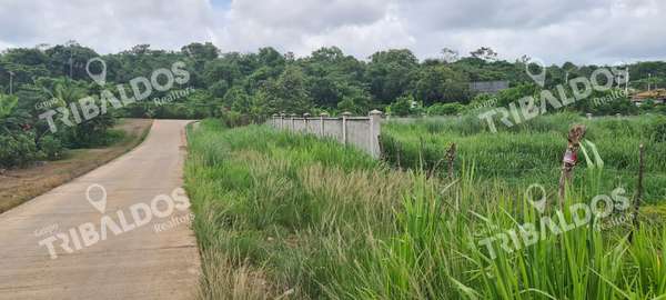 Terreno para Desarrollo Residencial