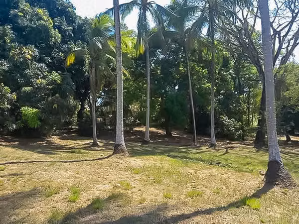Venta de Terreno en Pacora