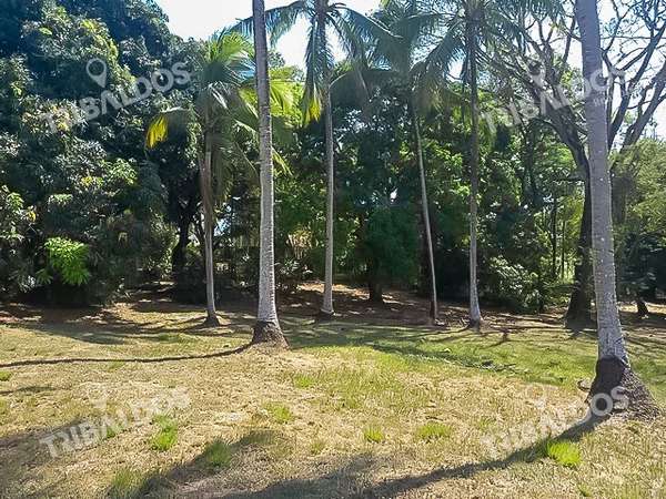 Venta de Terreno en Pacora