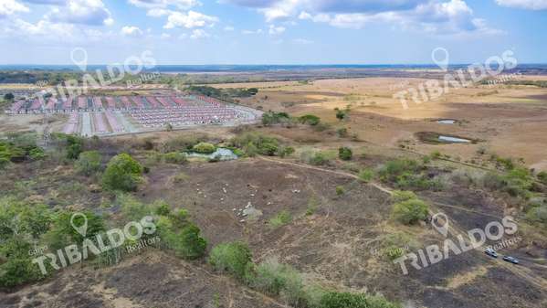 TERRENO EN PACORA