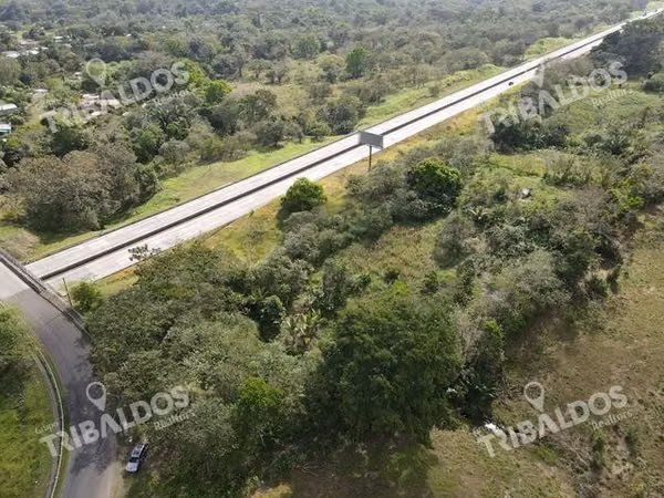 Finca en Nuevo San Juan , Colón , 250 ha