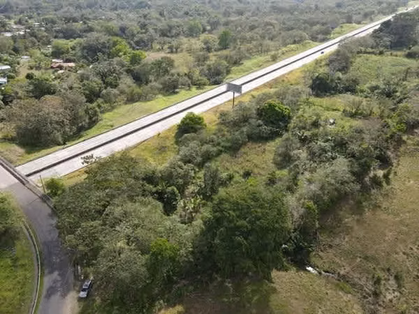 Finca en Nuevo San Juan , Colón , 250 ha