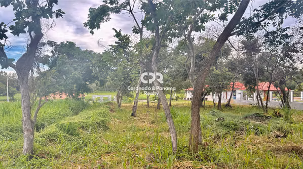 Venta de Lote en Coronado, Ave. Boulevard.