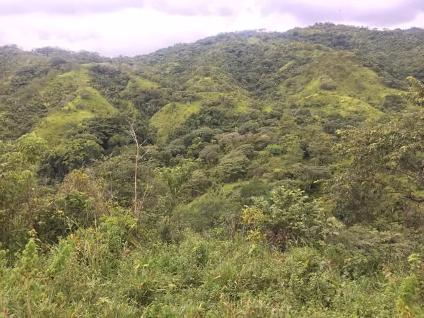 Venta de Finca en Soná, 374 Hectáreas