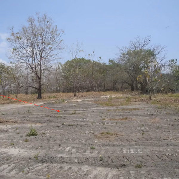 Land for sale in Rio Hato