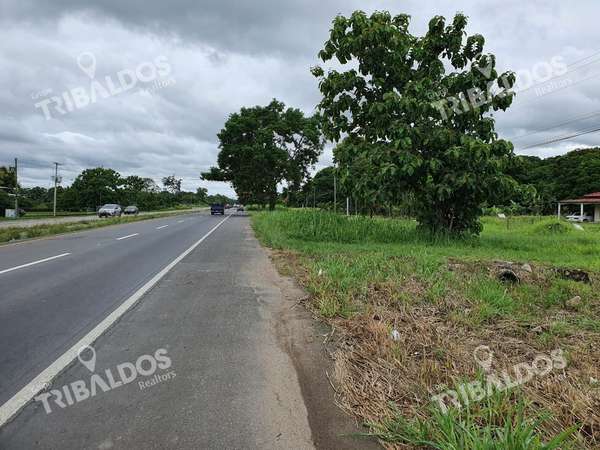 VENTA DE TERRENO EN PENONOMÉ