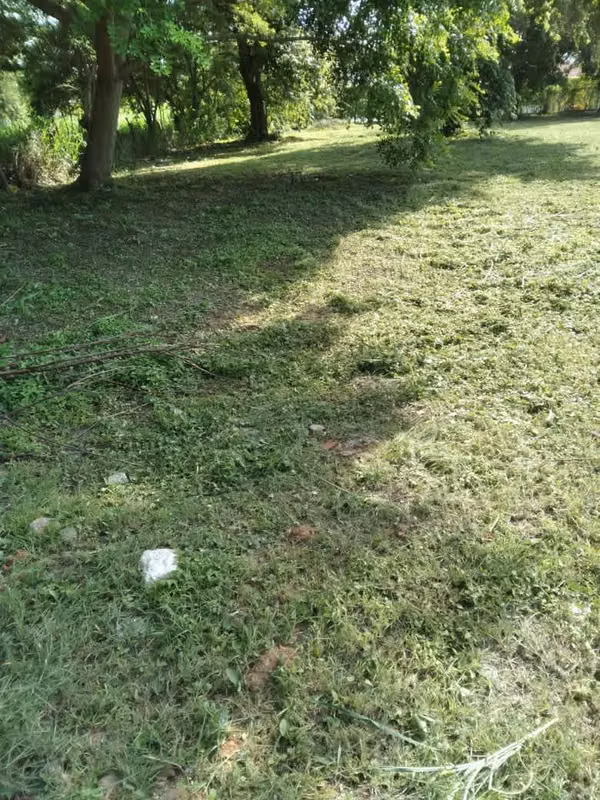 VENTA DE TERRENO EN CORONADO GOLF