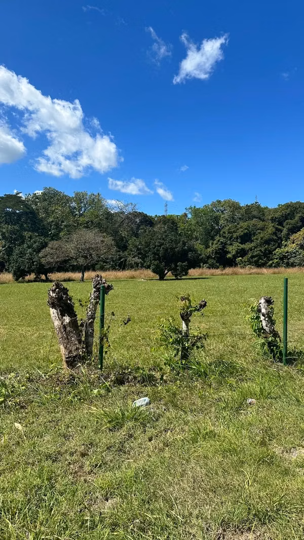 VENTA DE TRES LOTES DE TERRENO – SANTA CATALINA-VALLE DE ANTON
