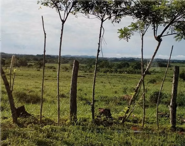 Venta de Finca en Veraguas, San Francisco, El Espave, 168 hectáreas