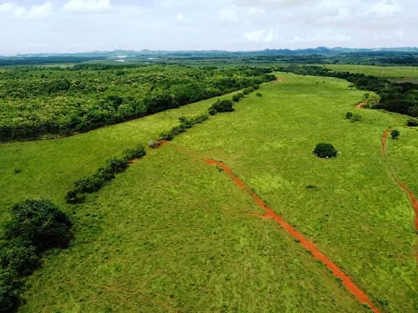 Venta de Finca en Chiriqui, San Lorenzo, Horconcito, 215 hectáreas