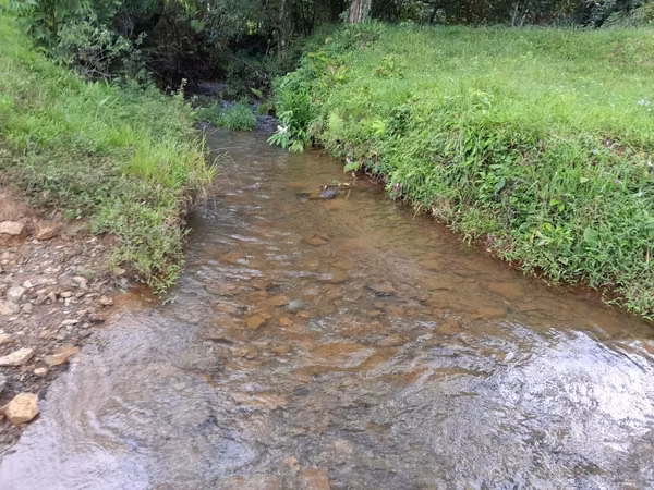 SE VENDE FINCA GANADERA EN ALTOS DE CATECITO, VIA PIXBAE  (SONÁ).