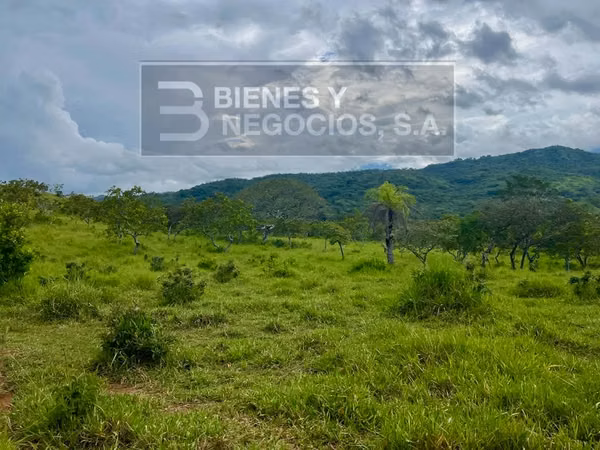 Finca en Chiriqui, Caldera 11.3 Hectáreas ,