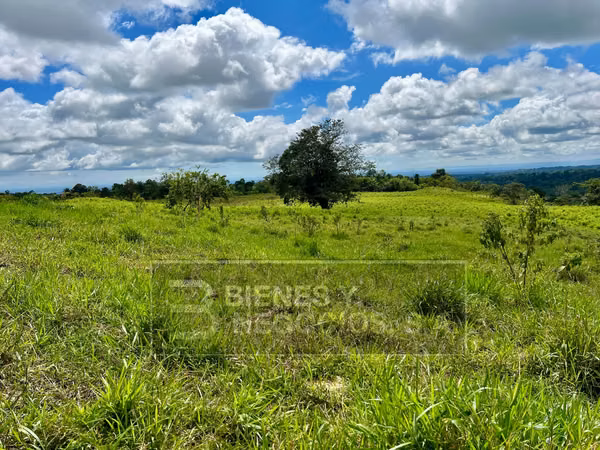 Finca en Chiriqui, Boqueron, 17.1 hectáreas en Bocalatun
