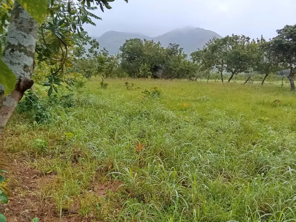 Venta de Finca en Ola, Coclé, 40 Hectáreas