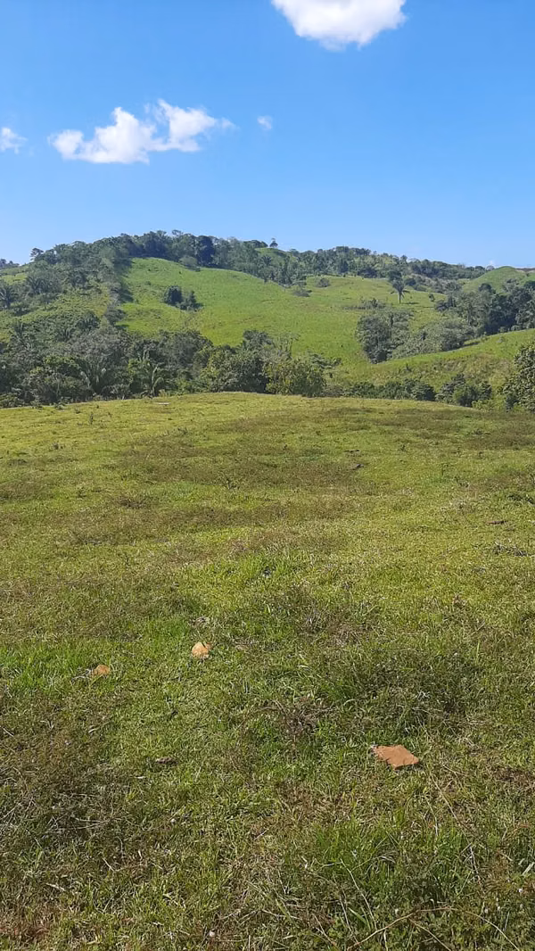 FOR SALE TWO AGRICULTURAL PROPERTIES