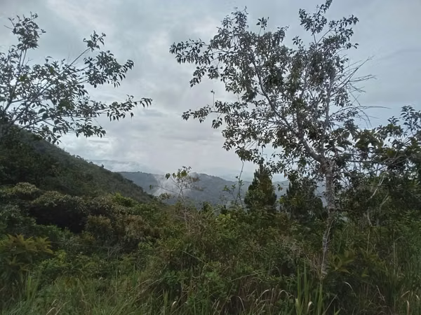 22-Hectare Lot for Sale in Altos del María, Panama