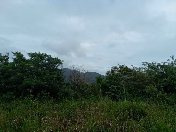 22-Hectare Lot for Sale in Altos del María, Panama